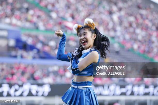 Fox dance in action during the J.LEAGUE Meiji Yasuda J1 21st Sec. Match between Cerezo Osaka and Yokohama F･Marinos at YODOKO SAKURA STADIUM on July...