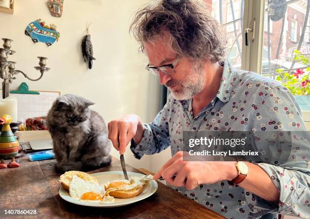 a man is eating fried eggs, with his cat next to the plate - jealousy stock pictures, royalty-free photos & images