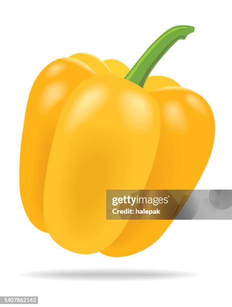 orange paprika - yellow bell pepper stock-grafiken, -clipart, -cartoons und -symbole