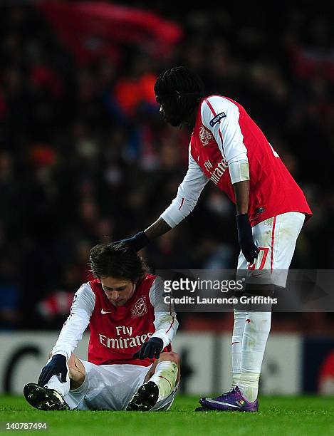 Gervinho consoles team mate Tomas Rosicky of Arsenal after the UEFA Champions League Round of 16 second leg match between Arsenal and AC Milan at...