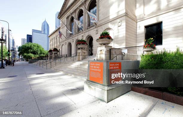 The Art Institute of Chicago lions have been removed for cleaning. They will be steam cleaned and get a wax coating. Here is the Art Institute...
