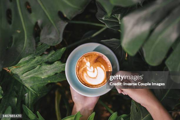 asian woman hand holding cups of hot coffee latte - tazza di latte dall'alto foto e immagini stock