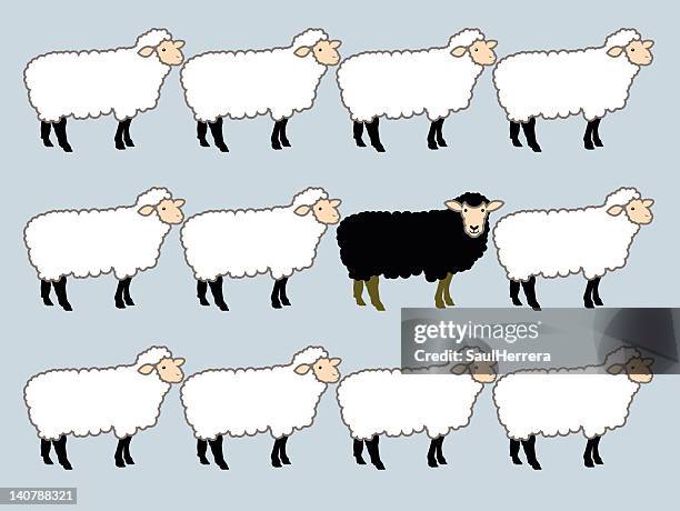 graphic of rows of sheep with a single black sheep - black sheep mammal stock illustrations