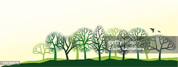 illustrations, cliparts, dessins animés et icônes de paysage avec arbres - bordé d'arbres