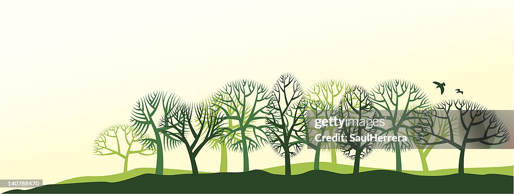 Natural landscape with trees