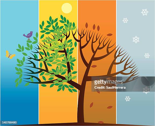 illustrations, cliparts, dessins animés et icônes de four seasons, tree - 4 saisons