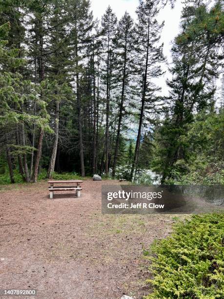 lone picnic table in the woods - bank müde frühling stock-fotos und bilder