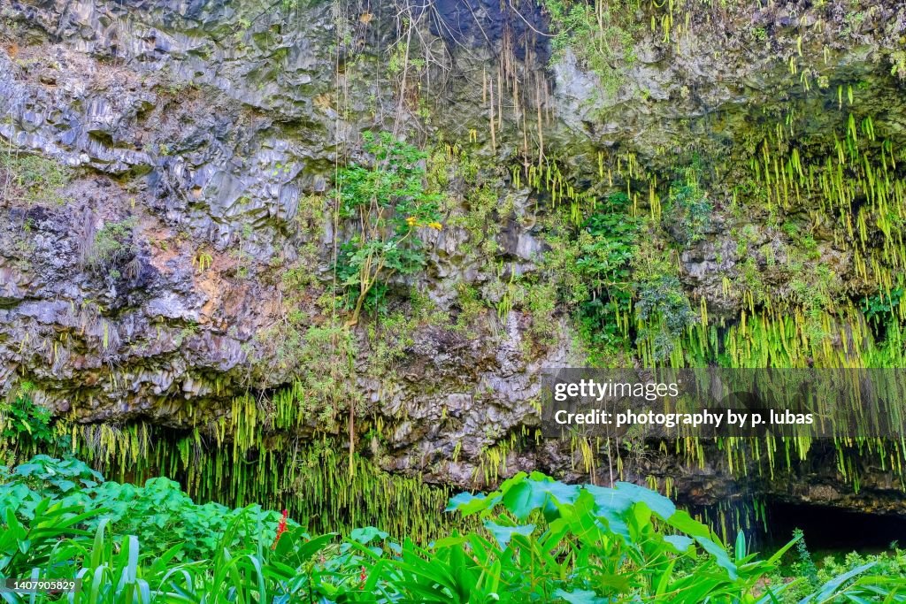 Wailua River State Park - Kauai, Hawaii