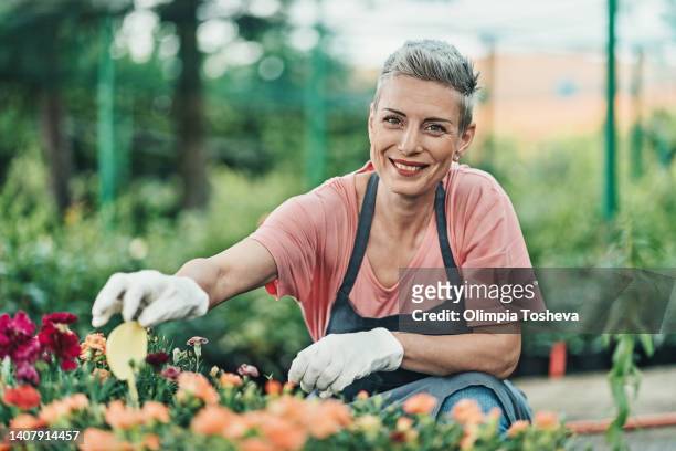 beautiful woman gardening flowers at the garden center, happy with her job. - plant breeding stock pictures, royalty-free photos & images