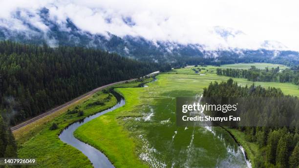 wild montana - billings stockfoto's en -beelden