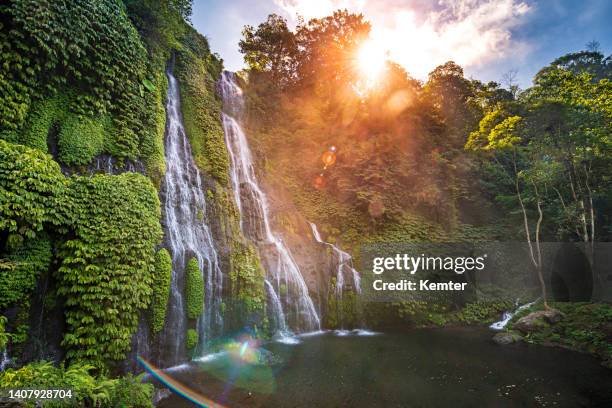 beautiful waterfall in bali - cataract stock pictures, royalty-free photos & images