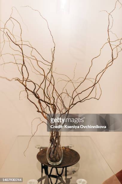 1,866 Decorative Branches For Vases Stock Photos, High-Res