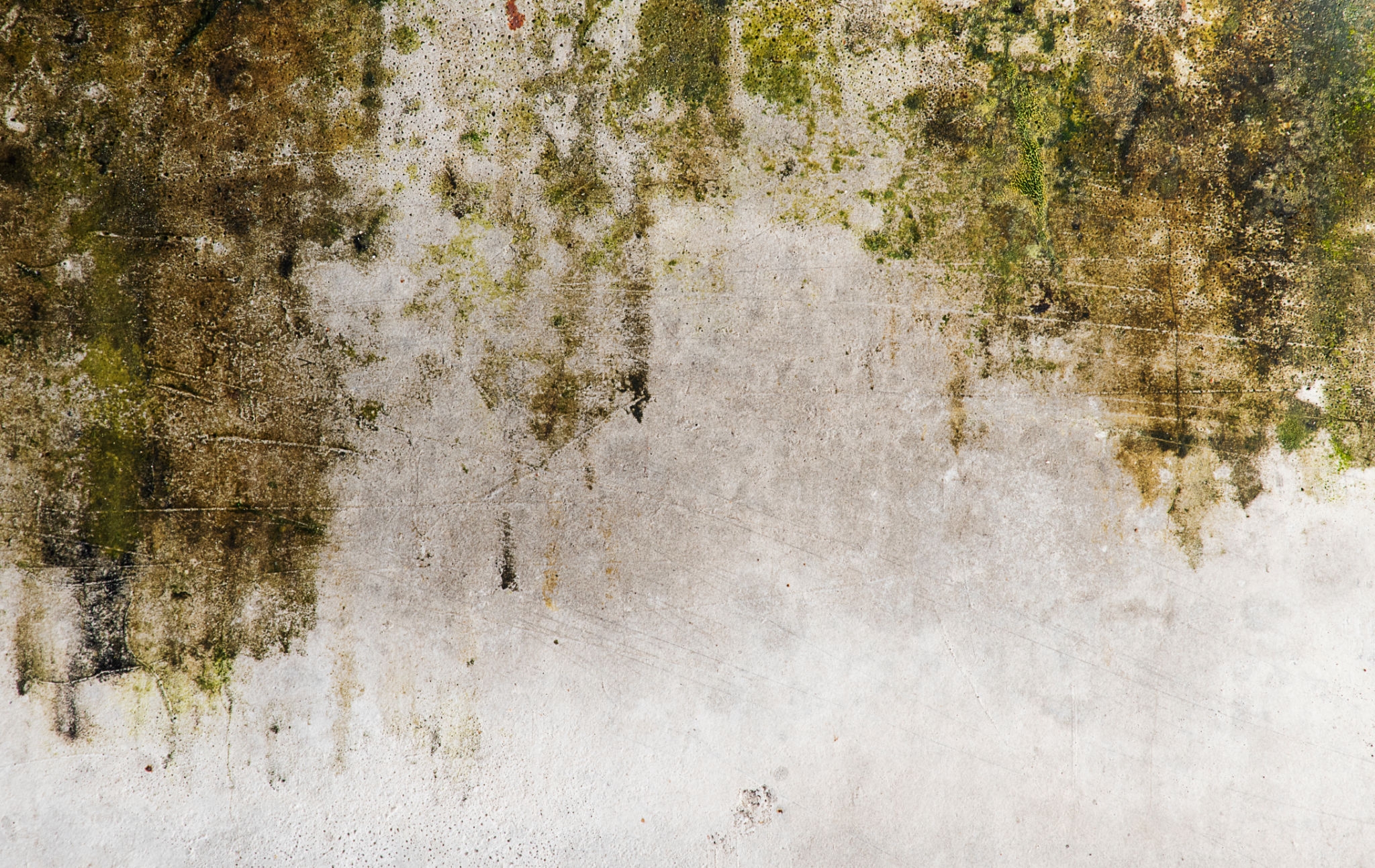 water stains walls