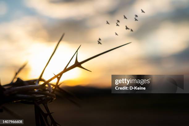 crown of thorns - good friday stock pictures, royalty-free photos & images