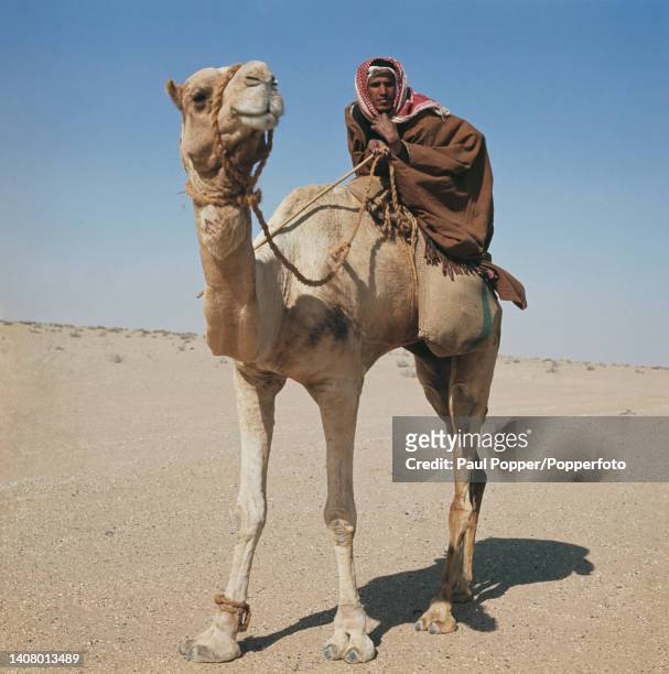bedouin tribes