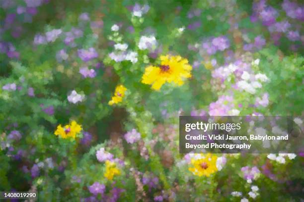 beautiful impressionistic art of daisies and wildflowers in field in pennsylvania - impressionism art stock pictures, royalty-free photos & images
