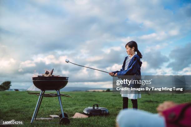 lovely girl roasting marshmallow on stick over campfire during camping trip - marshmallow stock-fotos und bilder
