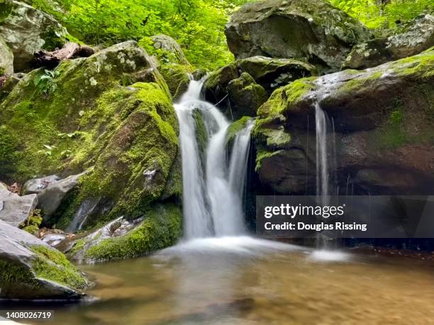 parque nacional shenandoah - dark hallow - paisaje salvaje - skyline drive virginia fotografías e imágenes de stock