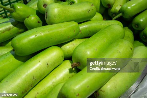 small wax gourd - おもちゃカボチャ ストックフォトと画像