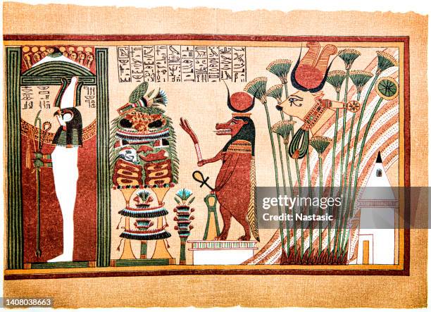 aus dem buch der toten, papyrus von ani - egyptian thoth stock-grafiken, -clipart, -cartoons und -symbole