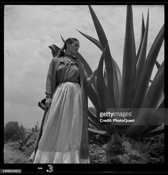 Low-angle portrait of Mexican artist Frida Kahlo as she stands beside a large agave plant, Mexico, 1937.