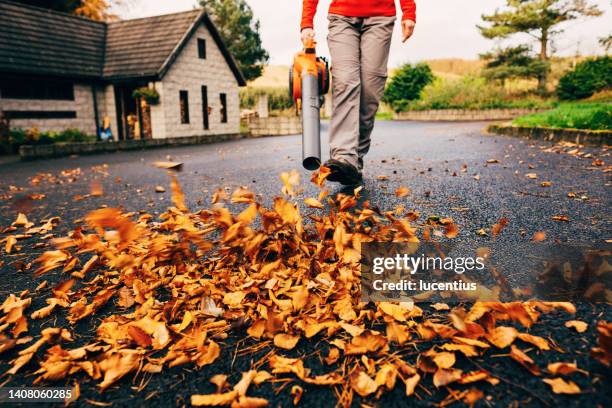 laubbläser räumt auffahrt - laubbläser stock-fotos und bilder
