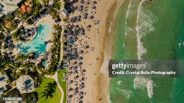 vista aerea del drone direttamente sopra una spiaggia piena di ombrellone blu sul litorale sabbioso di palm beach, in florida, a mezzogiorno durante la primavera del 2022 - west palm beach foto e immagini stock