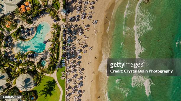 aerial drone view directly above a beach filled with blue beach umbrella on the sandy shoreline in palm beach, florida at midday during the spring of 2022 - west palm beach stock pictures, royalty-free photos & images