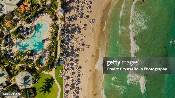 aerial drone view directly above a beach filled with blue beach umbrella on the sandy shoreline in palm beach, florida at midday during the spring of 2022 - west palm beach imagens e fotografias de stock