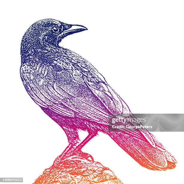 crow perching - crow logo stock illustrations