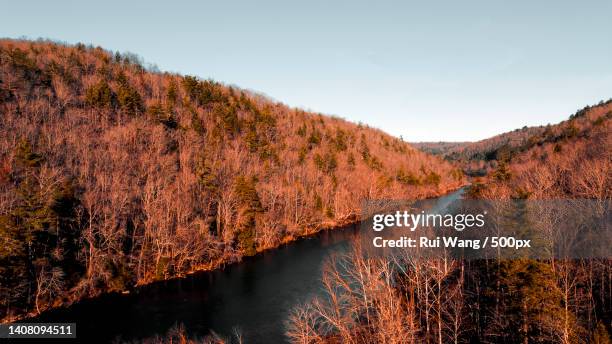 scenic view of river amidst trees against sky,morgan county,tennessee,united states,usa - tennessee landscape stock pictures, royalty-free photos & images