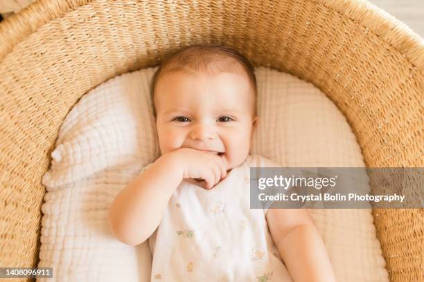 a 29-week-old baby boy in a cozy cotton blanket in a seagrass moses basket in a neutral modern home - baby boy stock pictures, royalty-free photos & images