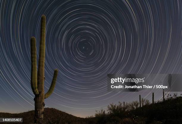 low angle view of tree against star field at night,saguaro national park,arizona,united states,usa - north star fotografías e imágenes de stock