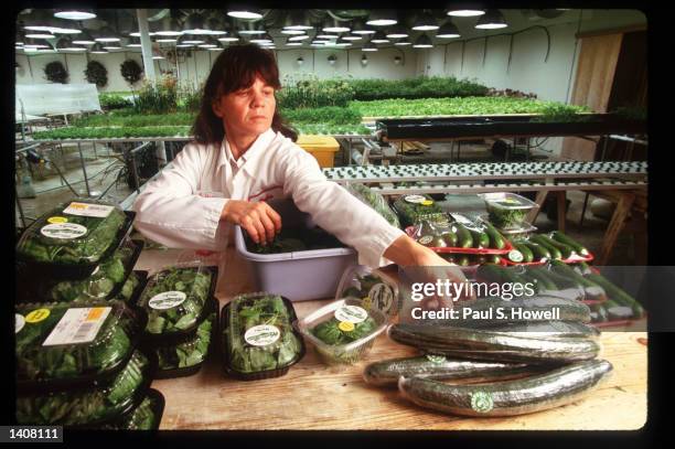 Hazel Reynolds packs vegetables and herbs for sale in the hydroponic garden at the Fiesta Mart supermarket July 7, 1993 in Houston, TX. Using a...