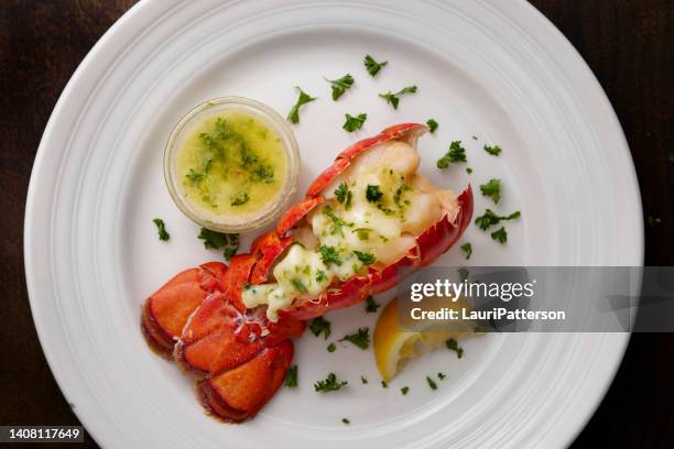 steamed lobster tail - barbatana caudal imagens e fotografias de stock