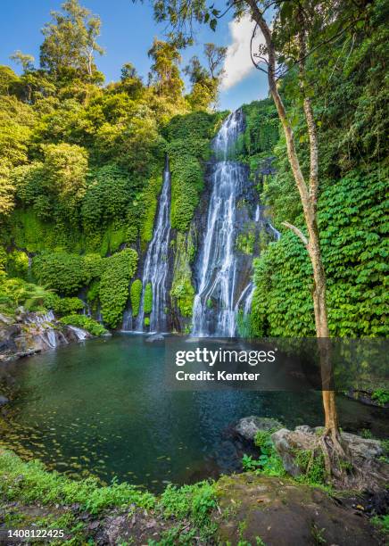beautiful waterfall in bali - queda de água imagens e fotografias de stock