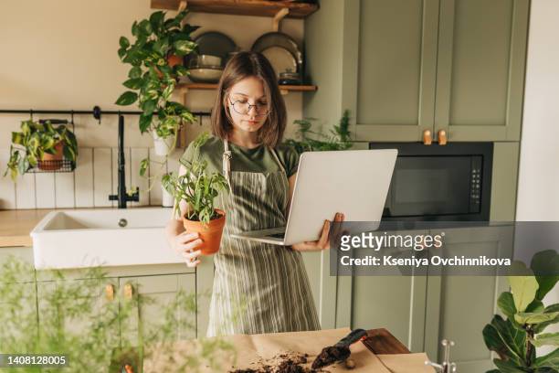 freelance woman in glasses with mobile phone typing at laptop and working from home office. happy girl sitting on couch in living room with plants. distance learning online education and work. - botaniste photos et images de collection
