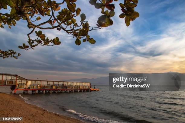 sunset on the   beach. - florianópolis imagens e fotografias de stock