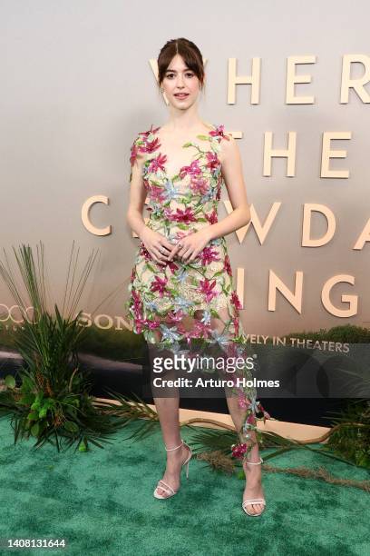 Daisy Edgar-Jones attends "Where The Crawdads Sing" premiere at Museum of Modern Art on July 11, 2022 in New York City.