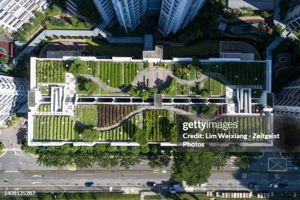 aerial shot of rooftop garden - eco city stock pictures, royalty-free photos & images