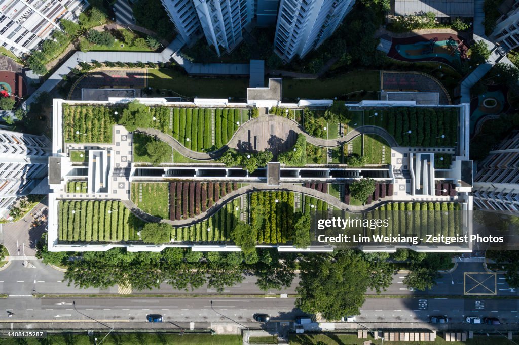 Aerial Shot of Rooftop Garden