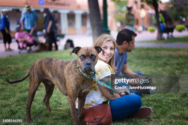 57点のsanta Fe N M Thoroughbredのストックフォト Getty Images 57点のsanta Fe N M Thoroughbredのストックフォト Getty Images