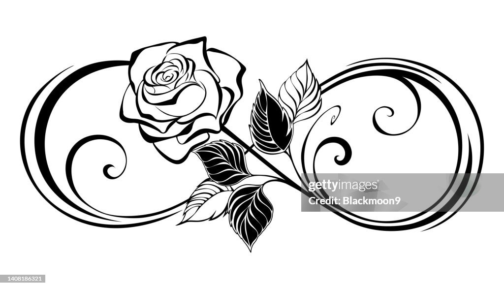 Infinity Rose Vector Image Infinity Symbol With Outline Rose High-Res Vector Graphic - Getty Images