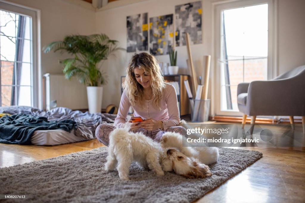 Une jeune femme utilise un téléphone portable pendant que ses chiens jouent