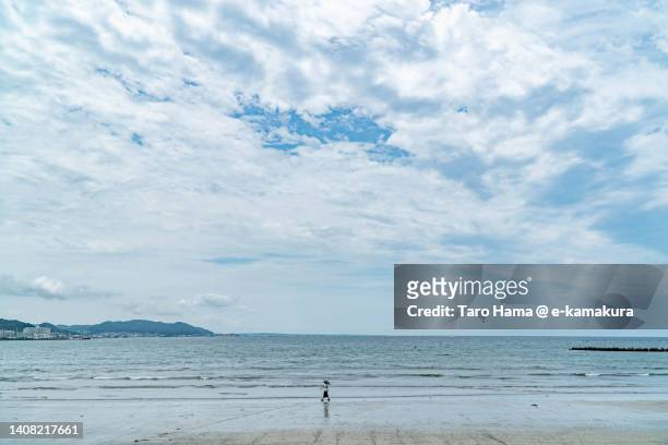summer beach in kanagawa of japan - tokai region stock-fotos und bilder