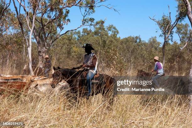 Mustering Jacket 165 Cattle Mustering Australia Stock Photos, High-Res Pictures, and ...