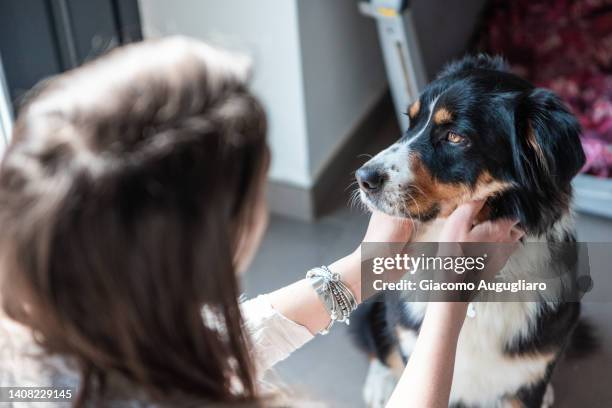 young woman stroking her dog while leaving home. - auf wiedersehen pet stock-fotos und bilder