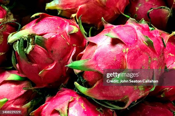 singapore, dragon fruit - pitaya stock pictures, royalty-free photos & images