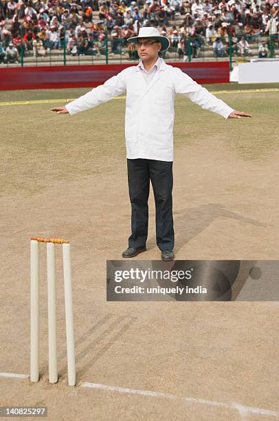cricket umpire signaling wide ball - cricket umpire foto e immagini stock