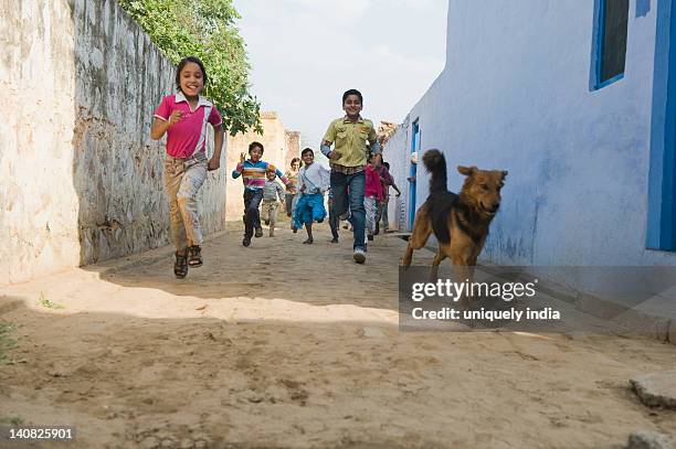 children running in a street, hasanpur, haryana, india - stray animal stock pictures, royalty-free photos & images